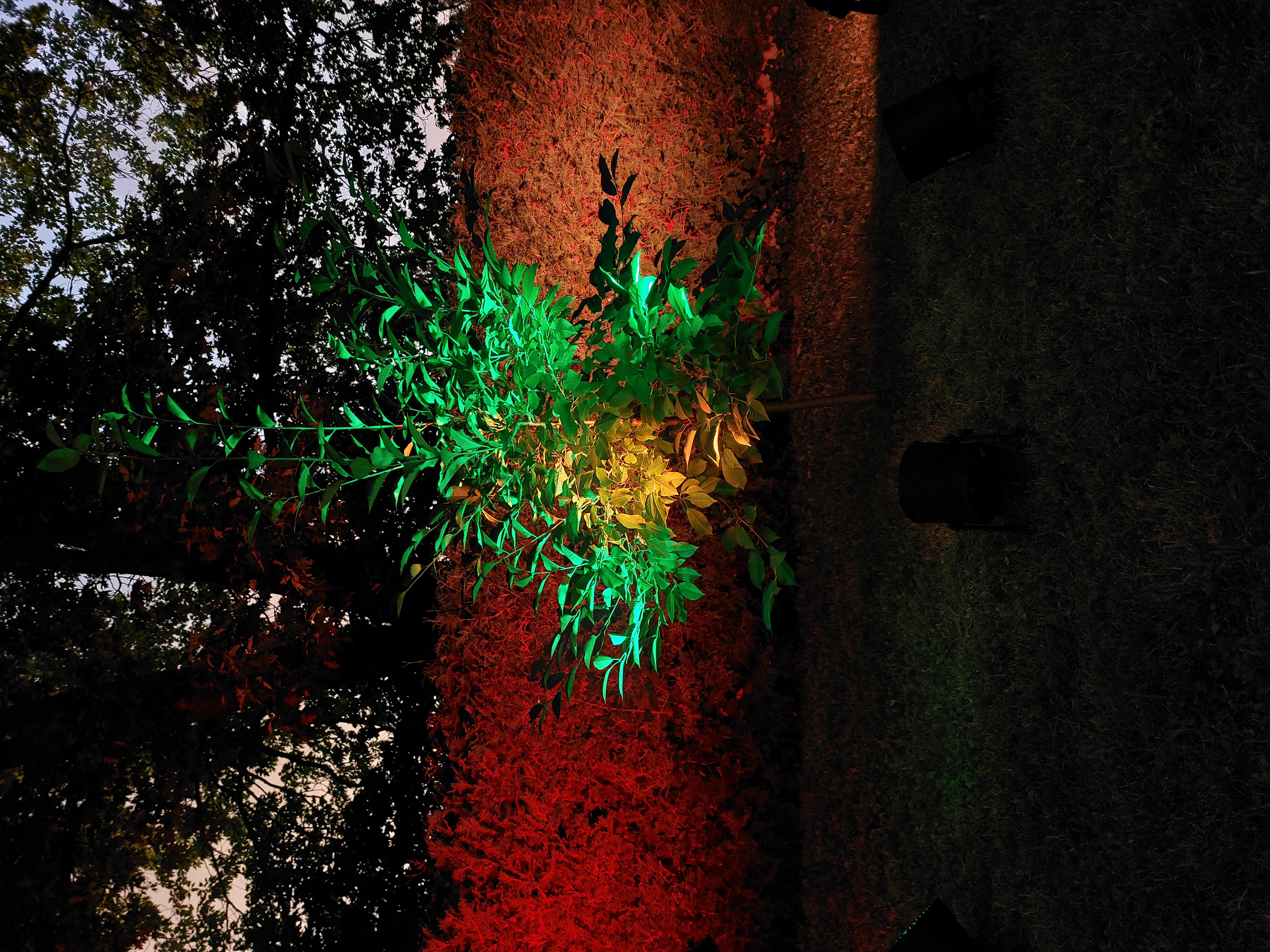 Atmobeleuchtung auf Gartenparty